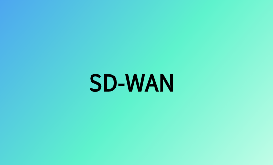 保護SD-WAN架構