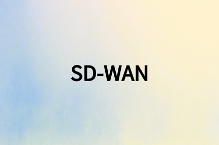 訪問云應(yīng)用的SD-WAN