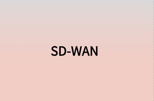 對企業(yè)而言，SD-WAN意味著什么?