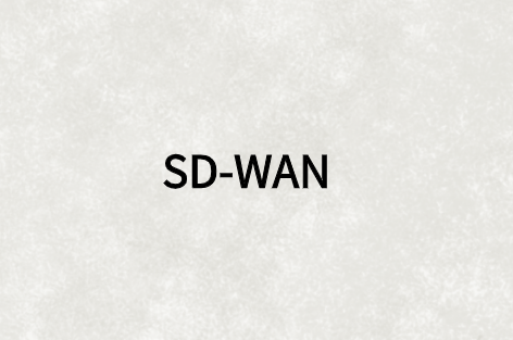 SD-WAN與WAN優(yōu)化