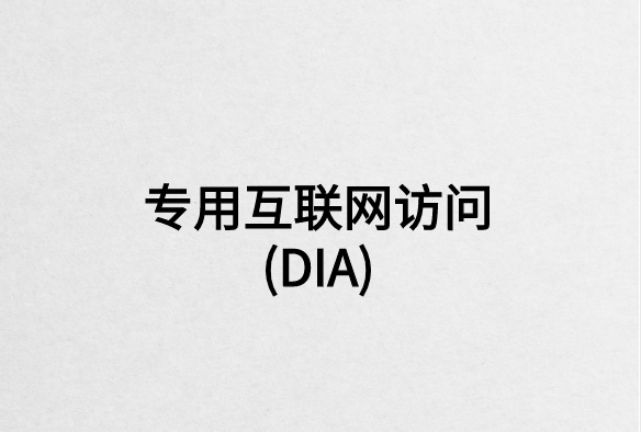 您如何從專用互聯(lián)網(wǎng)訪問(wèn)(DIA)中受益?